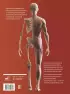 Атлас анатомии человека. Русско-латинско-английское издание