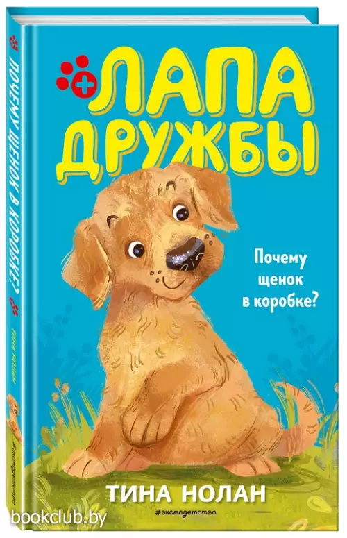 Почему щенок в коробке?