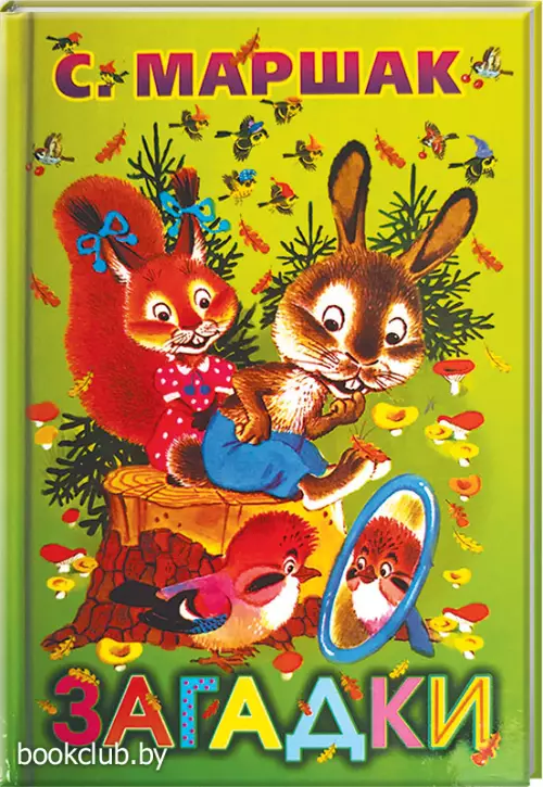 Загадки (64с)