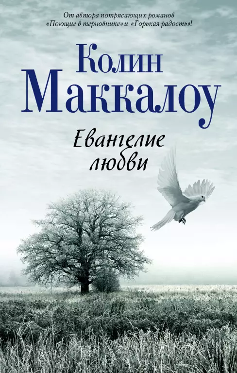 Евангелие любви (2015) Евангелие любви (2015)