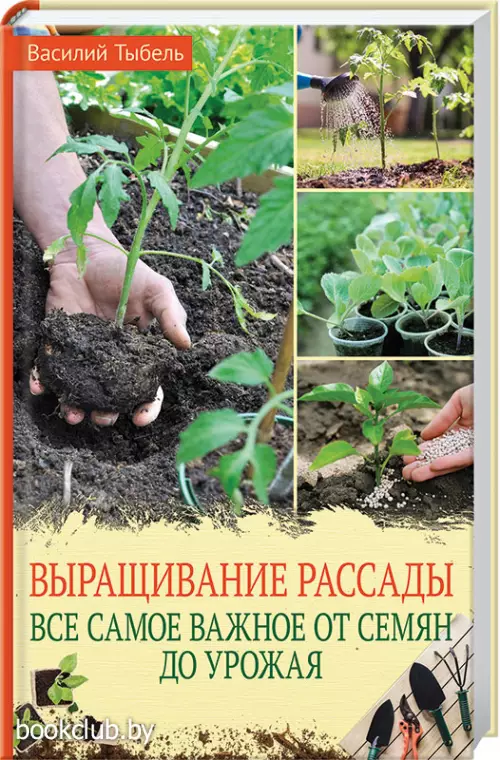 Выращивание рассады 