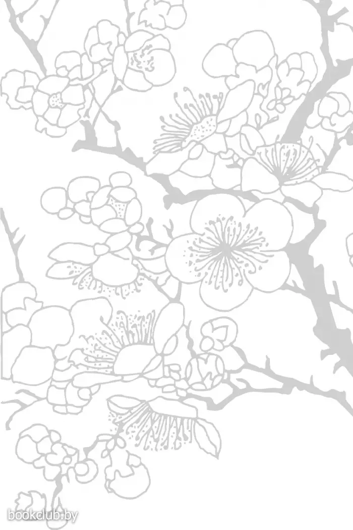 Магическая уборка. Японское искусство наведения порядка дома и в жизни Магическая уборка. Японское искусство наведения порядка дома и в жизни