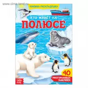 Книга с наклейками «Кто живёт на полюсе», 40 наклеек