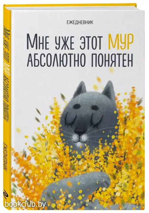Мне уже этот МУР абсолютно понятен. Ежедневник недатированный (А5, 72 л.)