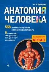 Анатомия человека со страницами для раскрашивания, Юрий Боянович Анатомия человека со страницами для раскрашивания, Юрий Боянович