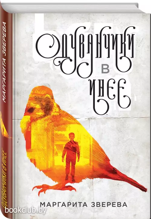 Одуванчики в инее