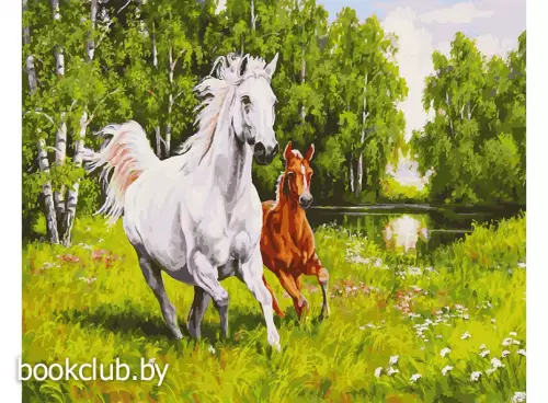 Картина по номерам на холсте «На воле» (40х50 см)