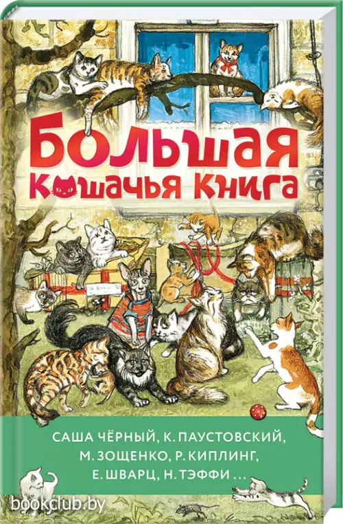 Большая кошачья книга