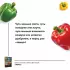 Перец. Выращиваем, ухаживаем и едим Перец. Выращиваем, ухаживаем и едим