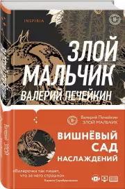 Злой мальчик, Валерий Печейкин