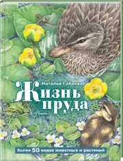 Жизнь пруда, Наталья Габеева
