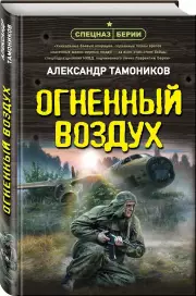 Огненный воздух, Александр Тамоников