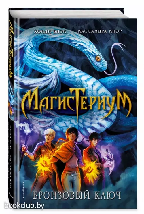 Бронзовый ключ (352с.)