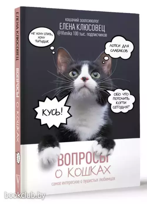 Вопросы о кошках. Самое интересное о пушистых любимцах