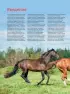 Лошади. Самая полная иллюстрированная энциклопедия