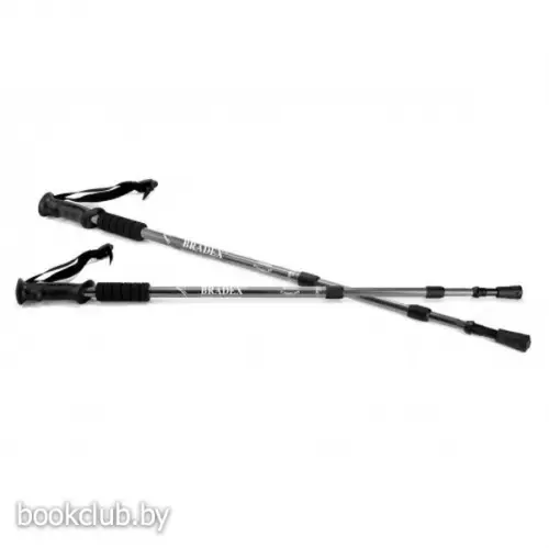 Палки телескопические для скандинавской ходьбы «Нордик стайл»