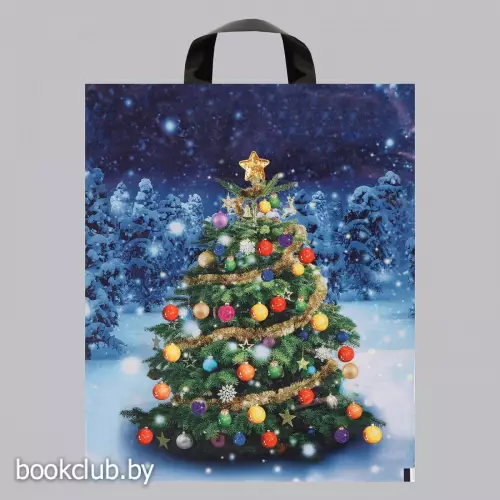 Пакет «Зимняя красавица», полиэтиленовый с петлевой ручкой, 28x35 см