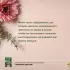 Любимый цветник. Простые шаги для создания декоративного сада Любимый цветник. Простые шаги для создания декоративного сада