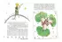 Маленький принц. Стань соавтором знаменитой книги (рис. автора)