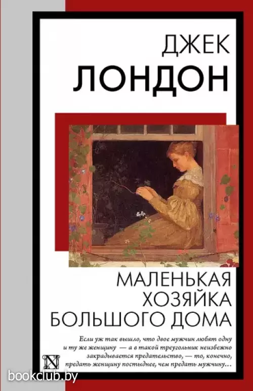 Маленькая хозяйка Большого дома (Книга на все времена)