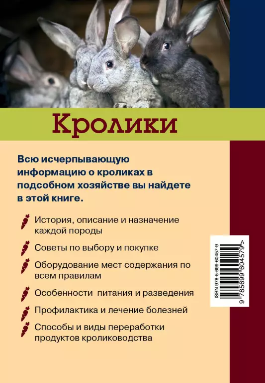 Кролики. Описание. Разведение. Уход Кролики. Описание. Разведение. Уход