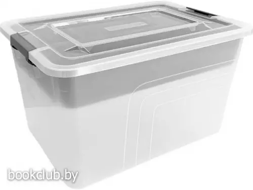 Ящик для хранения с лотком, 8 л., Bergen,  305х215х184 мм., натуральный, PLAST TEAM