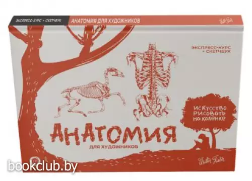 Анатомия для художников. Экспресс-курс + скетчбук