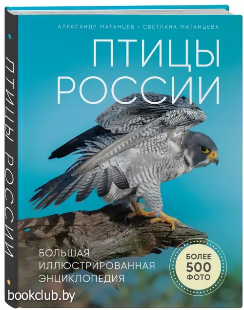 Птицы России. Большая иллюстрированная энциклопедия