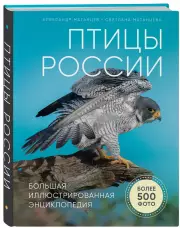 Птицы России. Большая иллюстрированная энциклопедия