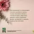 Любимый цветник. Простые шаги для создания декоративного сада Любимый цветник. Простые шаги для создания декоративного сада