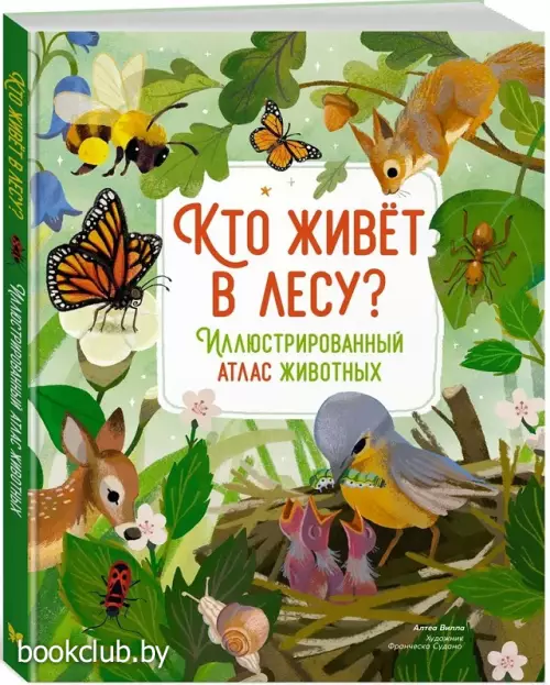 Кто живёт в лесу? Иллюстрированный атлас животных