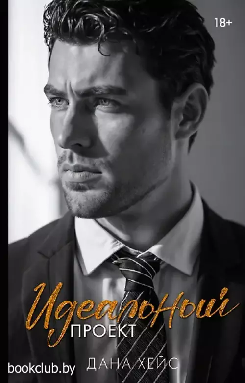 Идеальный проект