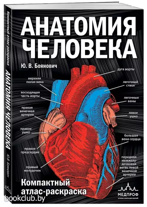 Анатомия человека: компактный атлас-раскраска