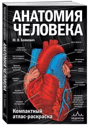 Анатомия человека: компактный атлас-раскраска, Юрий Боянович