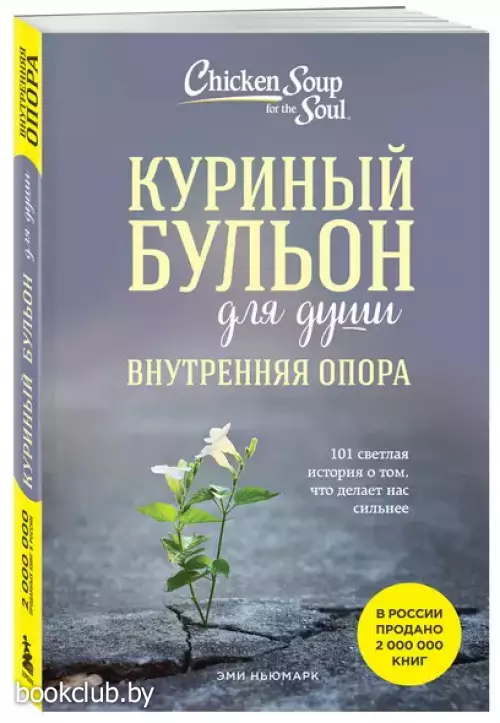 Куриный бульон для души. Внутренняя опора: 101 светлая история о том, что делает нас сильнее