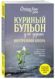 Куриный бульон для души. Внутренняя опора: 101 светлая история о том, что делает нас сильнее