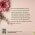 Любимый цветник. Простые шаги для создания декоративного сада Любимый цветник. Простые шаги для создания декоративного сада