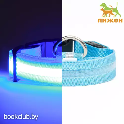 Ошейник с подсветкой размер S, ОШ 35-43 х 2,5 см, 3 режима свечения голубой