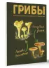 Грибы. Непромокаемый карманный справочник Грибы. Непромокаемый карманный справочник