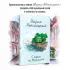 С видом на Нескучный (тв) С видом на Нескучный (тв)
