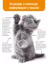 Кошки. Полное руководство для детей