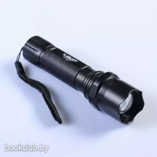 Фонарь ручной аккумуляторный 