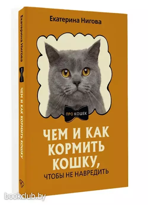 Чем и как кормить кошку, чтобы не навредить