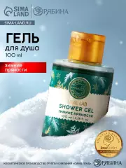 Гель для душа с зимних пряностей, 100 мл