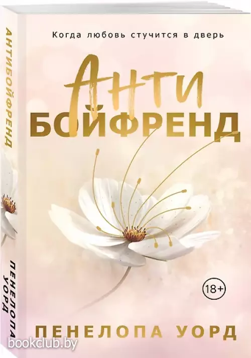 Антибойфренд