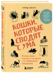 Кошки, которые сводят с ума. Почему кошки психуют и что делать с их проблемным поведением