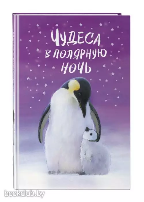  Чудеса в полярную ночь