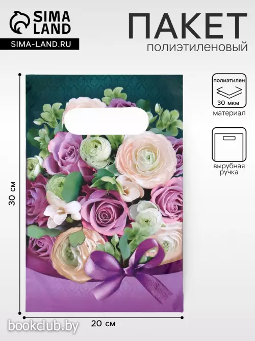 Пакет «Барбара» полиэтиленовый с вырубной ручкой, 20?30 см