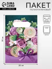 Пакет «Барбара» полиэтиленовый с вырубной ручкой, 20?30 см