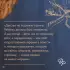 Не вычеркивай меня из списка (тв)
